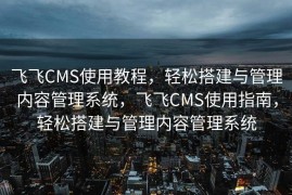 飞飞CMS使用教程，轻松搭建与管理内容管理系统，飞飞CMS使用指南，轻松搭建与管理内容管理系统