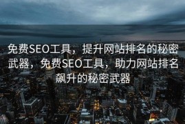 免费SEO工具，提升网站排名的秘密武器，免费SEO工具，助力网站排名飙升的秘密武器
