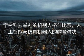 宇树科技举办的机器人格斗比赛，人工智能与仿真机器人的巅峰对决