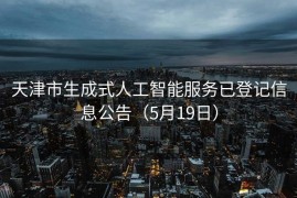 天津市生成式人工智能服务已登记信息公告（5月19日）