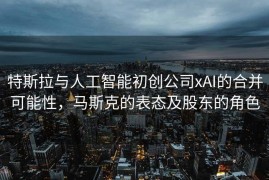 特斯拉与人工智能初创公司xAI的合并可能性，马斯克的表态及股东的角色