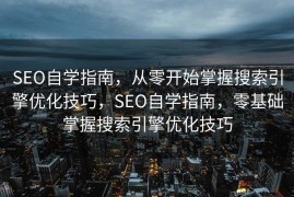 SEO自学指南，从零开始掌握搜索引擎优化技巧，SEO自学指南，零基础掌握搜索引擎优化技巧