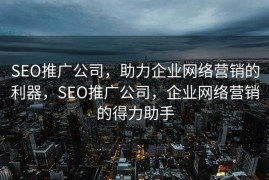 SEO推广公司，助力企业网络营销的利器，SEO推广公司，企业网络营销的得力助手