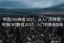 SEO蜘蛛，探索搜索引擎优化中的关键角色，SEO蜘蛛，搜索引擎优化中的核心角色探索
