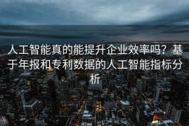 人工智能真的能提升企业效率吗？基于年报和专利数据的人工智能指标分析