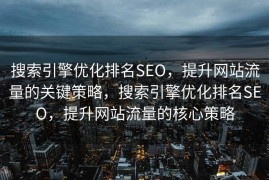 搜索引擎优化排名SEO，提升网站流量的关键策略，搜索引擎优化排名SEO，提升网站流量的核心策略