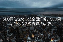 SEO网站优化方法全面解析，SEO网站优化方法深度解析与探讨