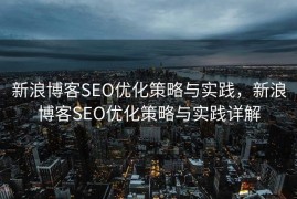 新浪博客SEO优化策略与实践，新浪博客SEO优化策略与实践详解