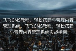 飞飞CMS教程，轻松搭建与管理内容管理系统，飞飞CMS教程，轻松搭建与管理内容管理系统实战指南