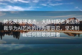 帅化民强硬表态，大陆对配合美国制裁华为AI芯片的行为零容忍，坚决制裁任何胆敢挑衅者