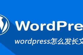 wordpress怎么发长文章
