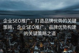 企业SEO推广，打造品牌优势的关键策略，企业SEO推广，品牌优势构建的关键策略之道