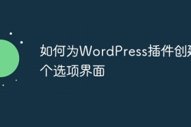 如何为WordPress插件创建一个选项界面