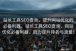 站长工具SEO查询，提升网站优化的必备利器，站长工具SEO查询，网站优化必备利器，助力提升排名与流量！
