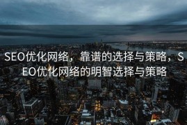 SEO优化网络，靠谱的选择与策略，SEO优化网络的明智选择与策略