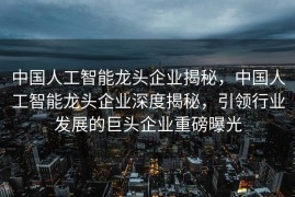 中国人工智能龙头企业揭秘，中国人工智能龙头企业深度揭秘，引领行业发展的巨头企业重磅曝光