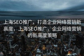 上海SEO推广，打造企业网络营销新高度，上海SEO推广，企业网络营销的新高度策略