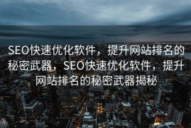SEO快速优化软件，提升网站排名的秘密武器，SEO快速优化软件，提升网站排名的秘密武器揭秘