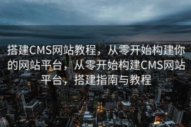 搭建CMS网站教程，从零开始构建你的网站平台，从零开始构建CMS网站平台，搭建指南与教程