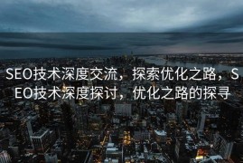 SEO技术深度交流，探索优化之路，SEO技术深度探讨，优化之路的探寻