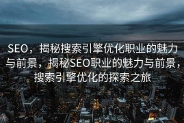 SEO，揭秘搜索引擎优化职业的魅力与前景，揭秘SEO职业的魅力与前景，搜索引擎优化的探索之旅