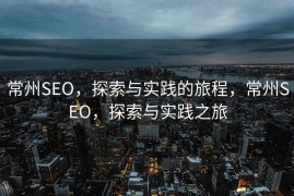 常州SEO，探索与实践的旅程，常州SEO，探索与实践之旅