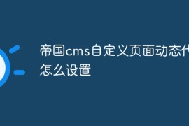 帝国cms自定义页面动态代码怎么设置