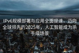 IPv6规模部署与应用全面提速，迈向全球领先的2025年，人工智能成为杀手级场景
