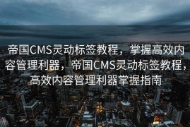 帝国CMS灵动标签教程，掌握高效内容管理利器，帝国CMS灵动标签教程，高效内容管理利器掌握指南