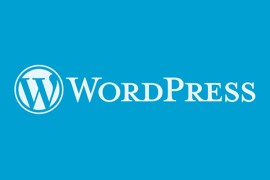 wordpress地址怎么打开