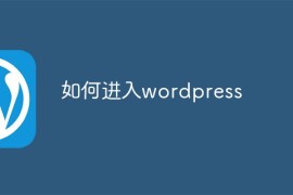 如何进入wordpress