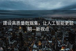 建设高质量数据集，让人工智能更聪明—新视点