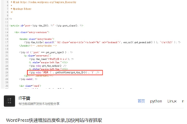 详解WordPress文章阅读量如何统计和显示（非插件）