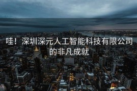 哇！深圳深元人工智能科技有限公司的非凡成就