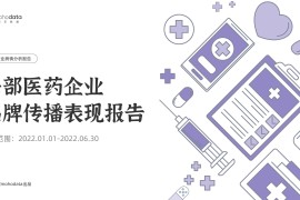 梅花数据：头部医药企业 品牌传播表现报告（2022年1月1日-6月30日）-2025最新seo资料