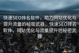 快速SEO排名软件，助力网站优化与提升流量的秘密武器，快速SEO排名软件，网站优化与流量提升的秘密武器