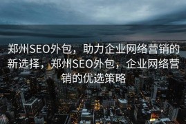 郑州SEO外包，助力企业网络营销的新选择，郑州SEO外包，企业网络营销的优选策略