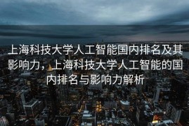上海科技大学人工智能国内排名及其影响力，上海科技大学人工智能的国内排名与影响力解析