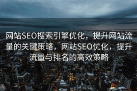 网站SEO搜索引擎优化，提升网站流量的关键策略，网站SEO优化，提升流量与排名的高效策略