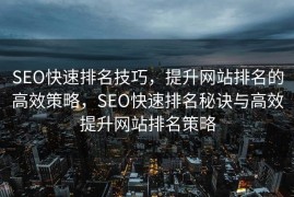 SEO快速排名技巧，提升网站排名的高效策略，SEO快速排名秘诀与高效提升网站排名策略