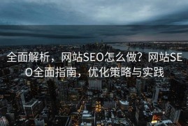 全面解析，网站SEO怎么做？网站SEO全面指南，优化策略与实践