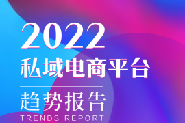 浪潮新消费：2022私域电商平台趋势报告-2025最新seo资料