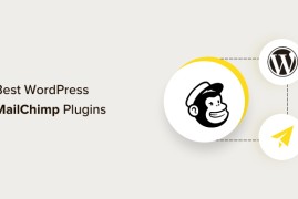2024 年 17 个最佳 WordPress Mailchimp 插件