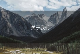 关于我们