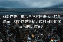 SEO作弊，揭示与应对网络优化的黑暗面，SEO作弊揭秘，应对网络优化背后的阴暗策略