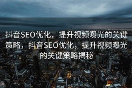 抖音SEO优化，提升视频曝光的关键策略，抖音SEO优化，提升视频曝光的关键策略揭秘