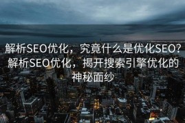 解析SEO优化，究竟什么是优化SEO？解析SEO优化，揭开搜索引擎优化的神秘面纱