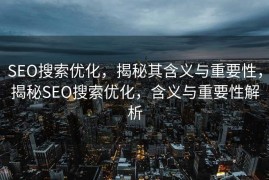 SEO搜索优化，揭秘其含义与重要性，揭秘SEO搜索优化，含义与重要性解析