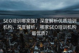 SEO培训哪家强？深度解析优质培训机构，深度解析，哪家SEO培训机构最优质？