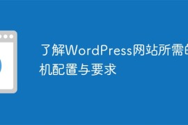 了解WordPress网站所需的主机配置与要求